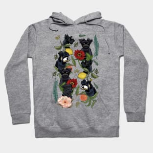 Botanical and Black Schnauzer Hoodie